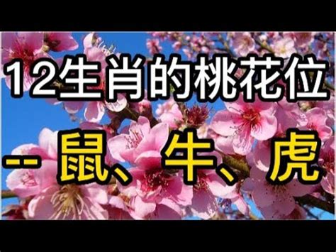 生肖桃花位|怎样寻找自己桃花位详解